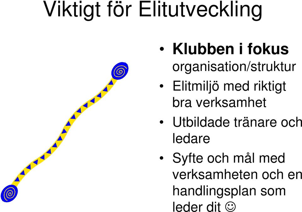 verksamhet Utbildade tränare och ledare Syfte