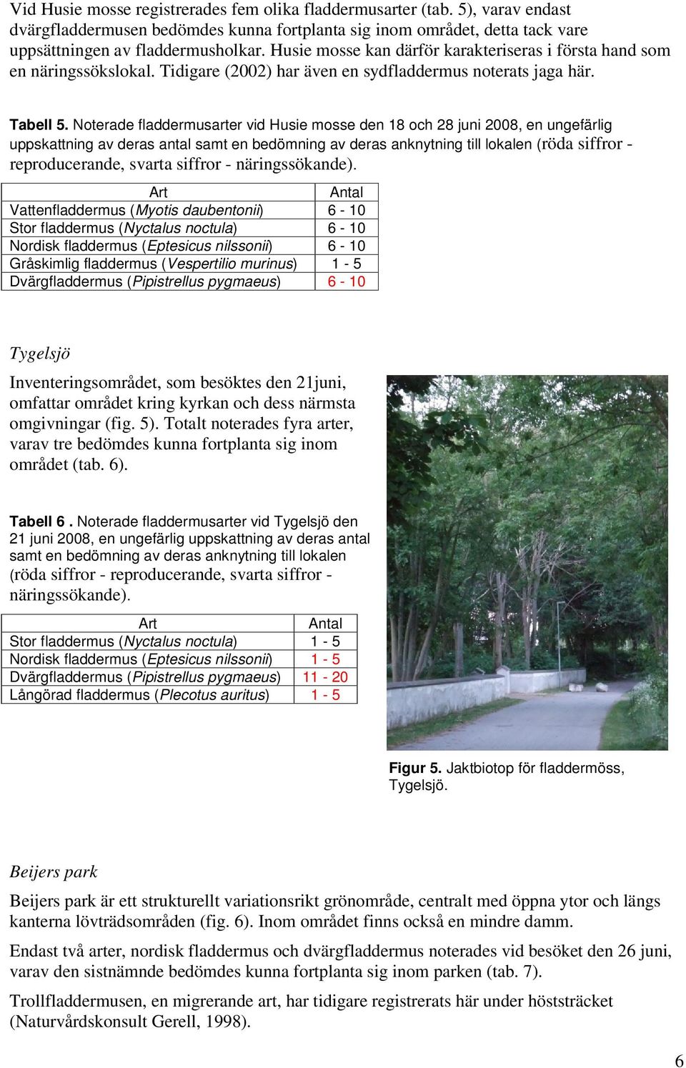 Noterade fladdermusarter vid Husie mosse den 18 och 28 juni 2008, en ungefärlig uppskattning av deras antal samt en bedömning av deras anknytning till lokalen (röda siffror - reproducerande, svarta