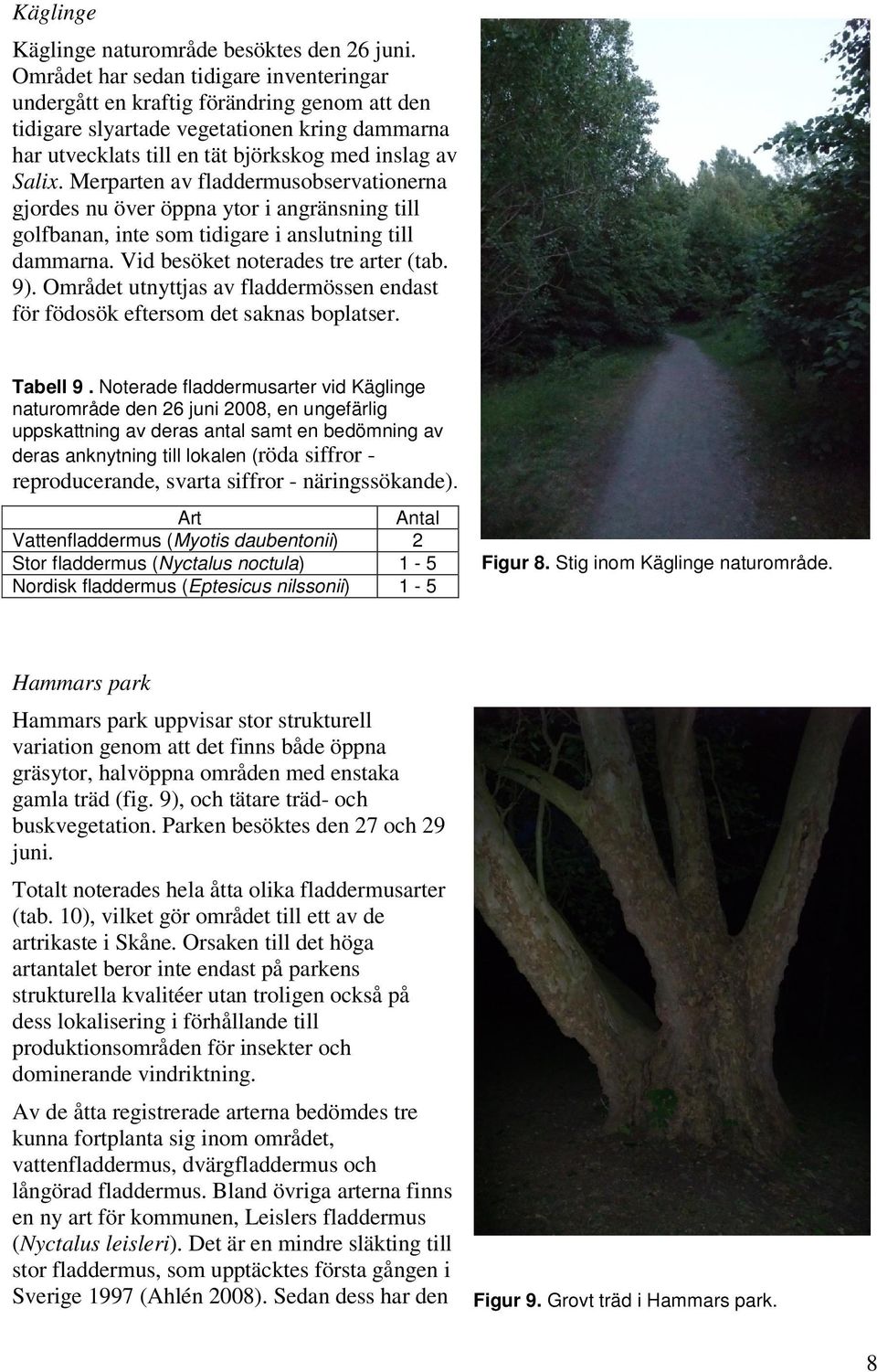 Merparten av fladdermusobservationerna gjordes nu över öppna ytor i angränsning till golfbanan, inte som tidigare i anslutning till dammarna. Vid besöket noterades tre arter (tab. 9).