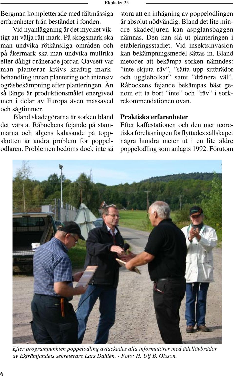 Oavsett var man planterar krävs kraftig markbehandling innan plantering och intensiv ogräsbekämpning efter planteringen.