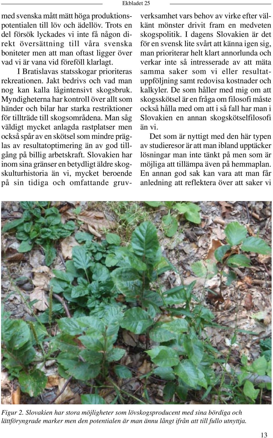 I Bratislavas statsskogar prioriteras rekreationen. Jakt bedrivs och vad man nog kan kalla lågintensivt skogsbruk.