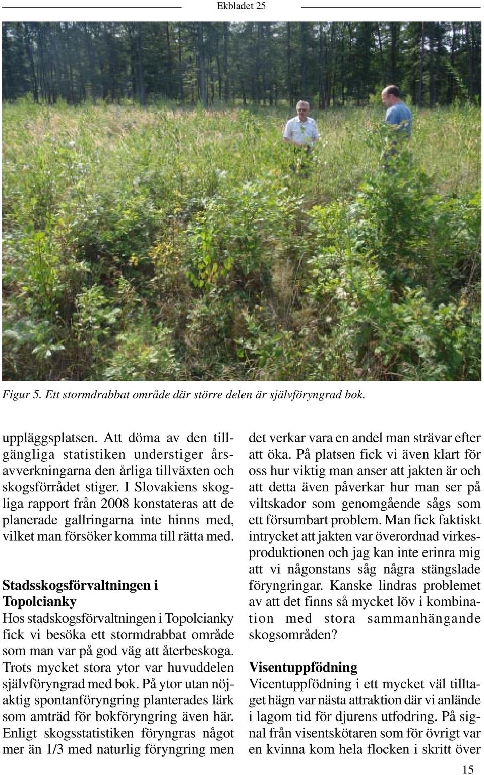 I Slovakiens skogliga rapport från 2008 konstateras att de planerade gallringarna inte hinns med, vilket man försöker komma till rätta med.