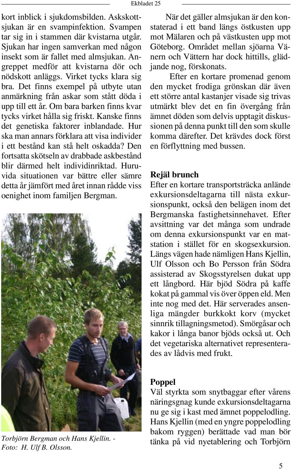 Om bara barken finns kvar tycks virket hålla sig friskt. Kanske finns det genetiska faktorer inblandade. Hur ska man annars förklara att visa individer i ett bestånd kan stå helt oskadda?
