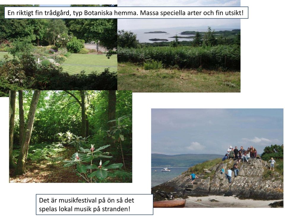 Massa speciella arter och fin utsikt!