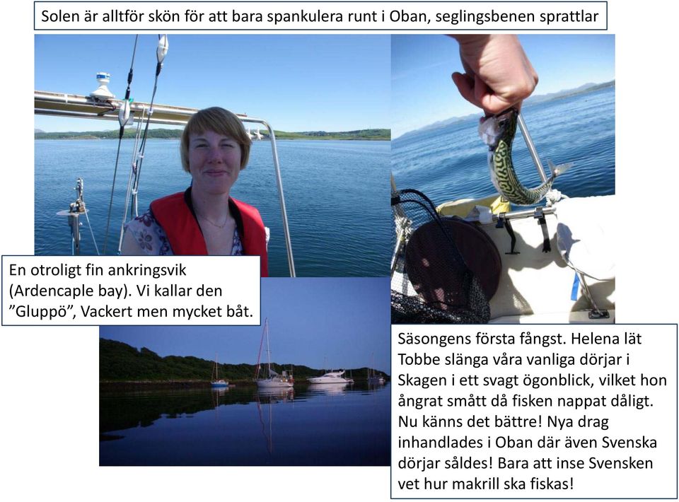 Helena lät Tobbe slänga våra vanliga dörjar i Skagen i ett svagt ögonblick, vilket hon ångrat smått då fisken
