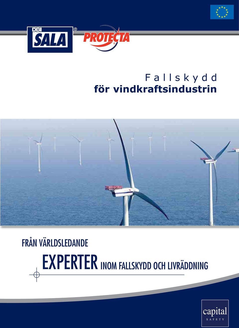 VÄRLDSLEDANDE EXPERTER