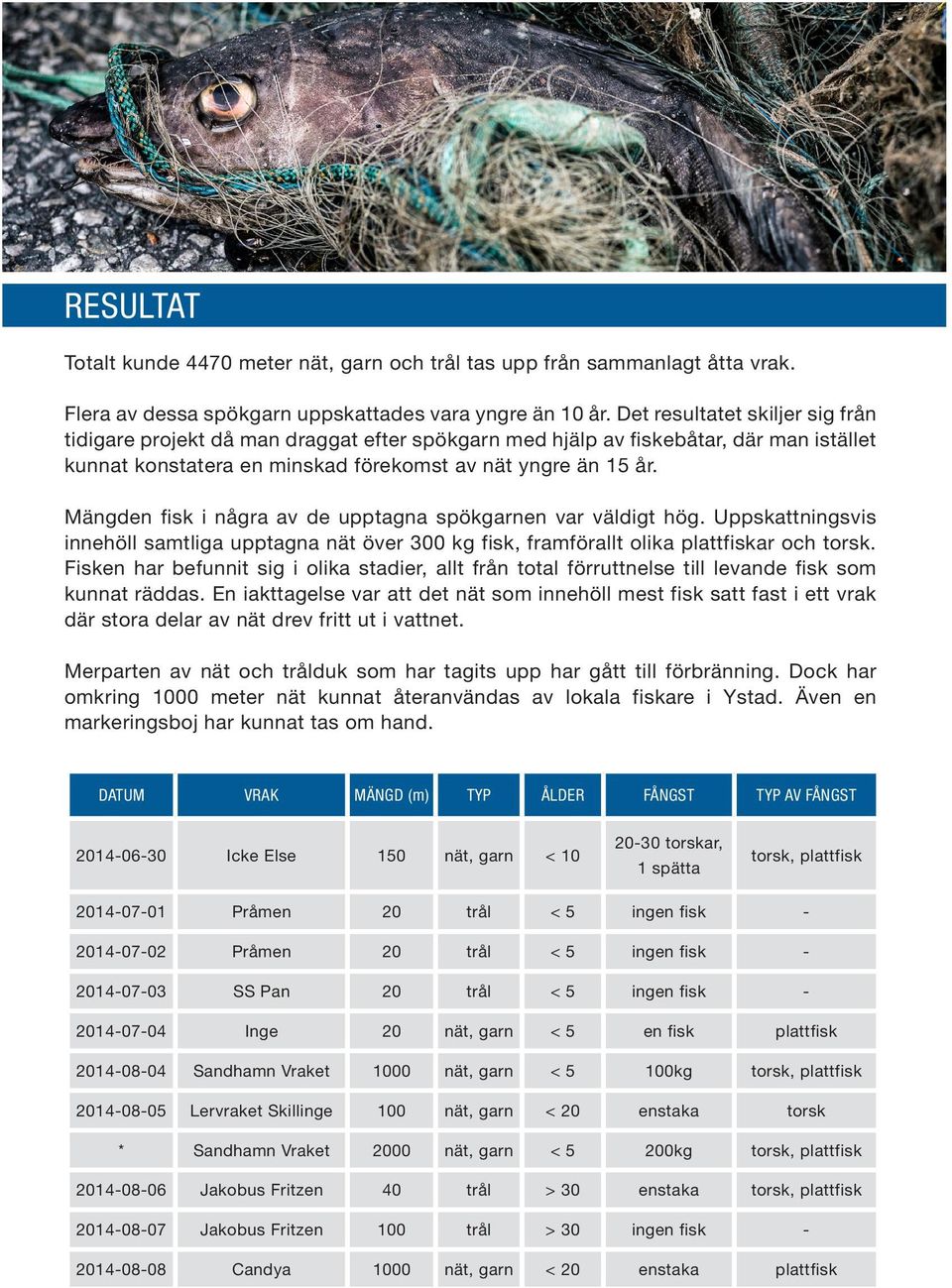 Mängden fisk i några av de upptagna spökgarnen var väldigt hög. Uppskattningsvis innehöll samtliga upptagna nät över 300 kg fisk, framförallt olika plattfiskar och torsk.