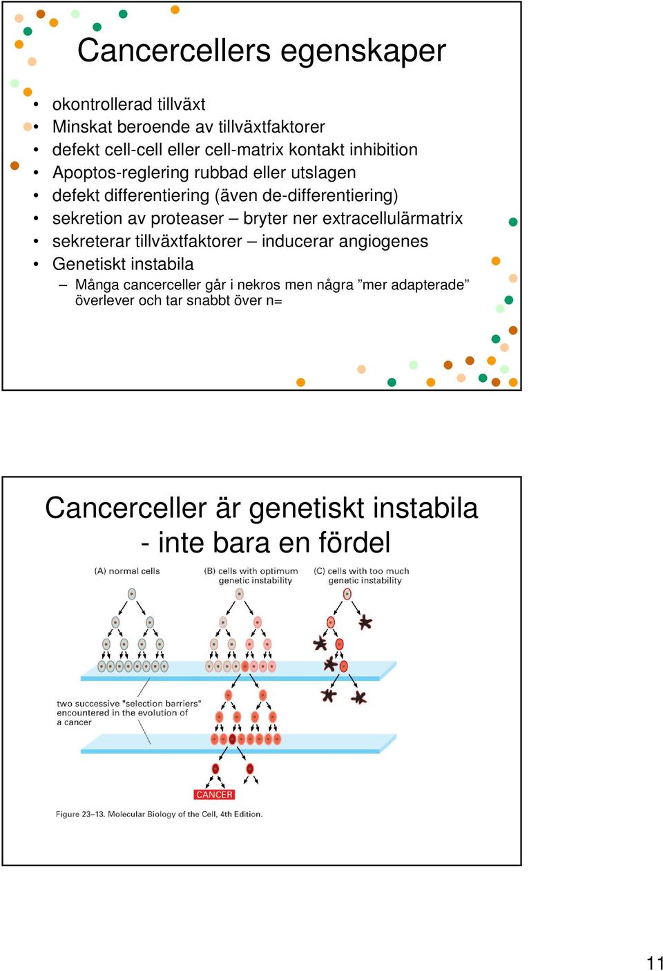 proteaser bryter ner extracellulärmatrix sekreterar tillväxtfaktorer inducerar angiogenes Genetiskt instabila Många