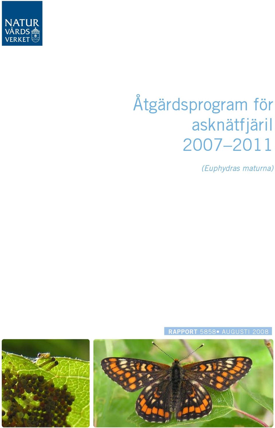 2011 (Euphydras