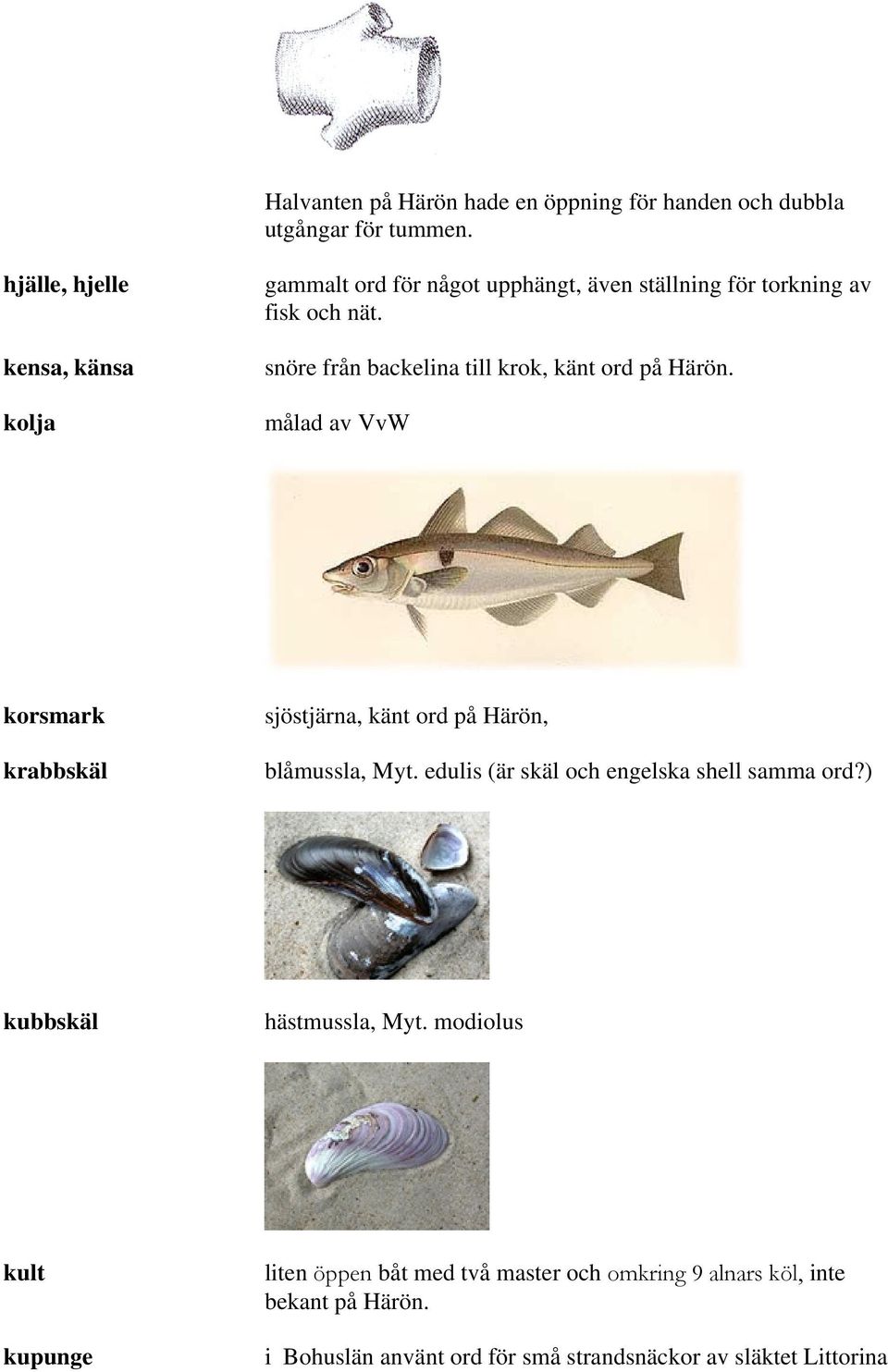 snöre från backelina till krok, känt ord på Härön. målad av VvW korsmark krabbskäl sjöstjärna, känt ord på Härön, blåmussla, Myt.