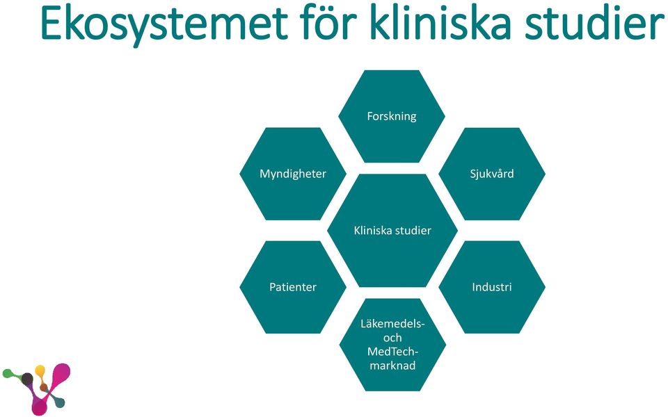 Sjukvård Kliniska studier