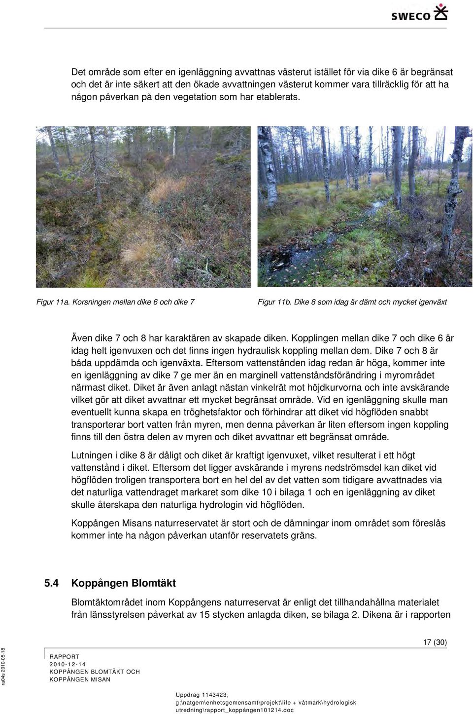 Kopplingen mellan dike 7 och dike 6 är idag helt igenvuxen och det finns ingen hydraulisk koppling mellan dem. Dike 7 och 8 är båda uppdämda och igenväxta.