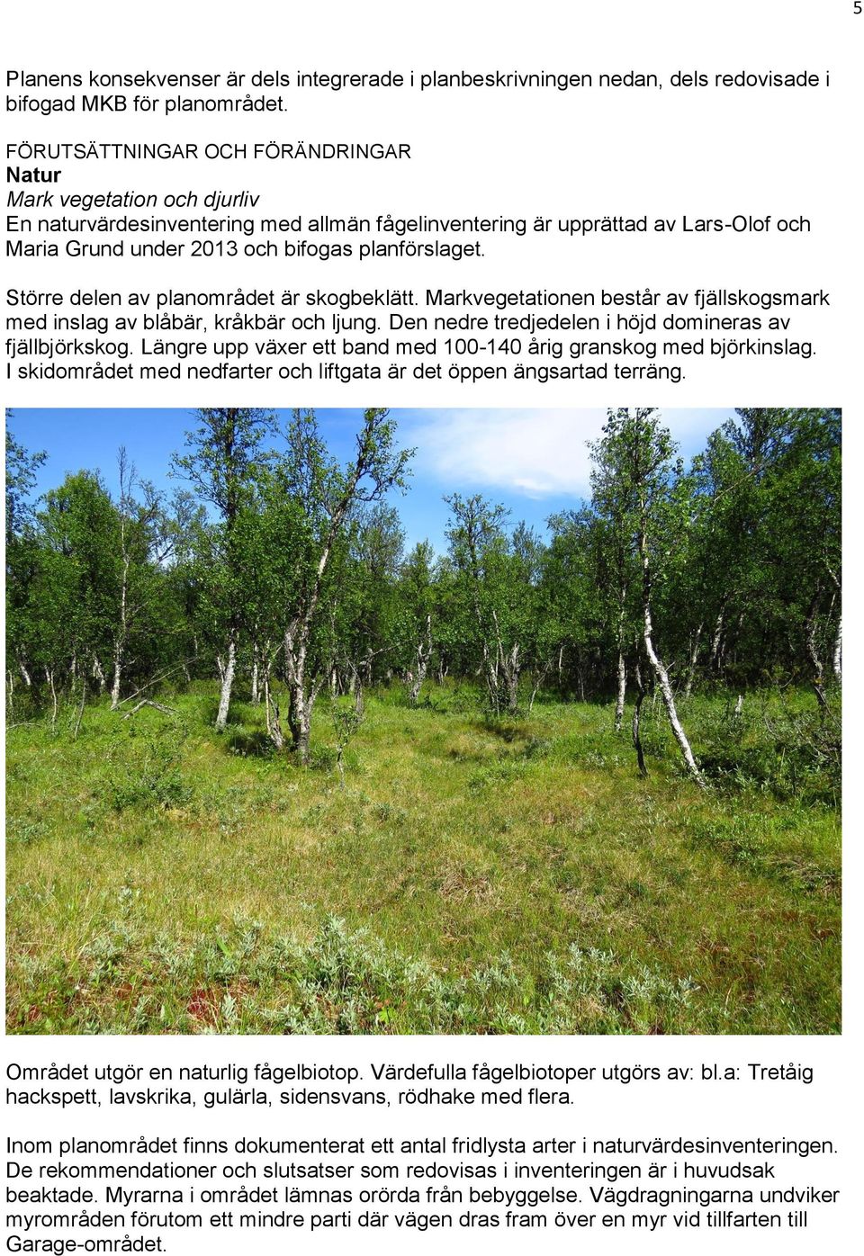 Större delen av planområdet är skogbeklätt. Markvegetationen består av fjällskogsmark med inslag av blåbär, kråkbär och ljung. Den nedre tredjedelen i höjd domineras av fjällbjörkskog.