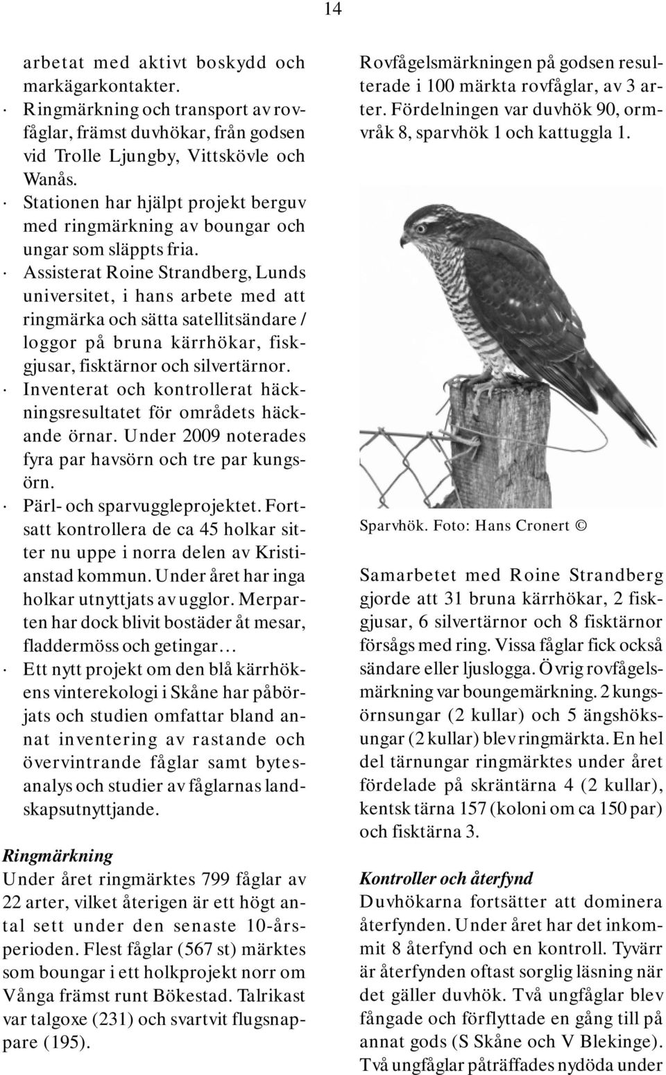 Assisterat Roine Strandberg, Lunds universitet, i hans arbete med att ringmärka och sätta satellitsändare / loggor på bruna kärrhökar, fiskgjusar, fisktärnor och silvertärnor.