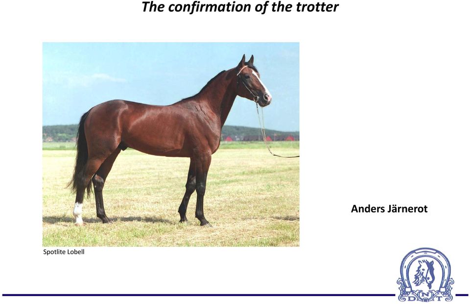 the trotter