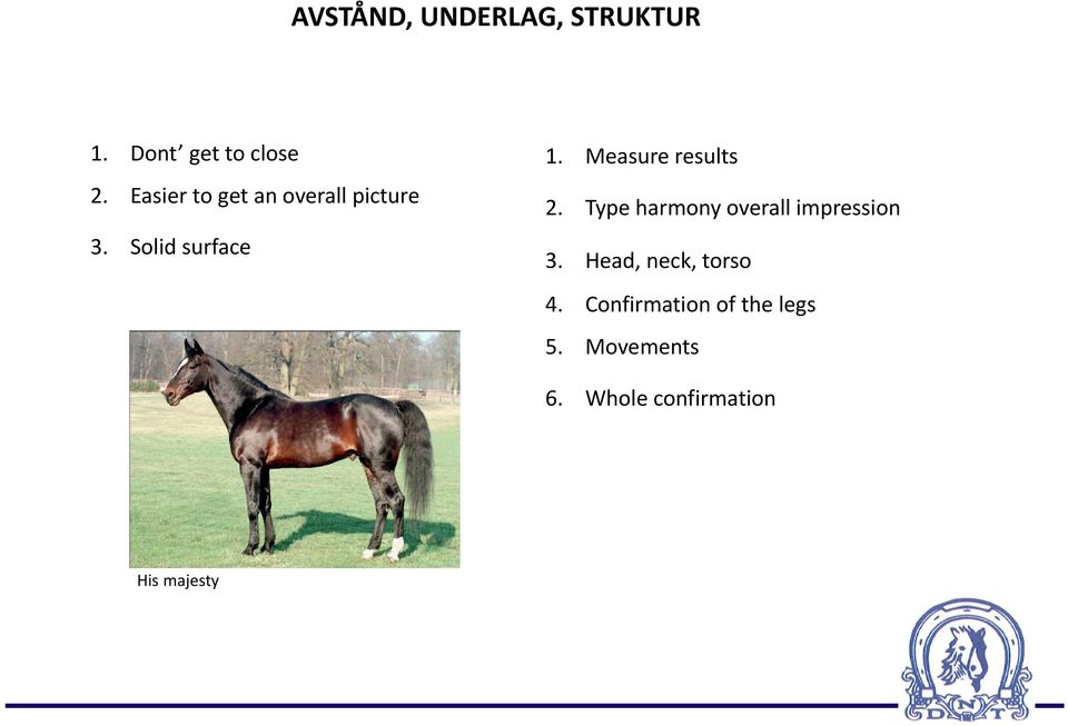 Measure results 2. Type harmony overall impression 3.