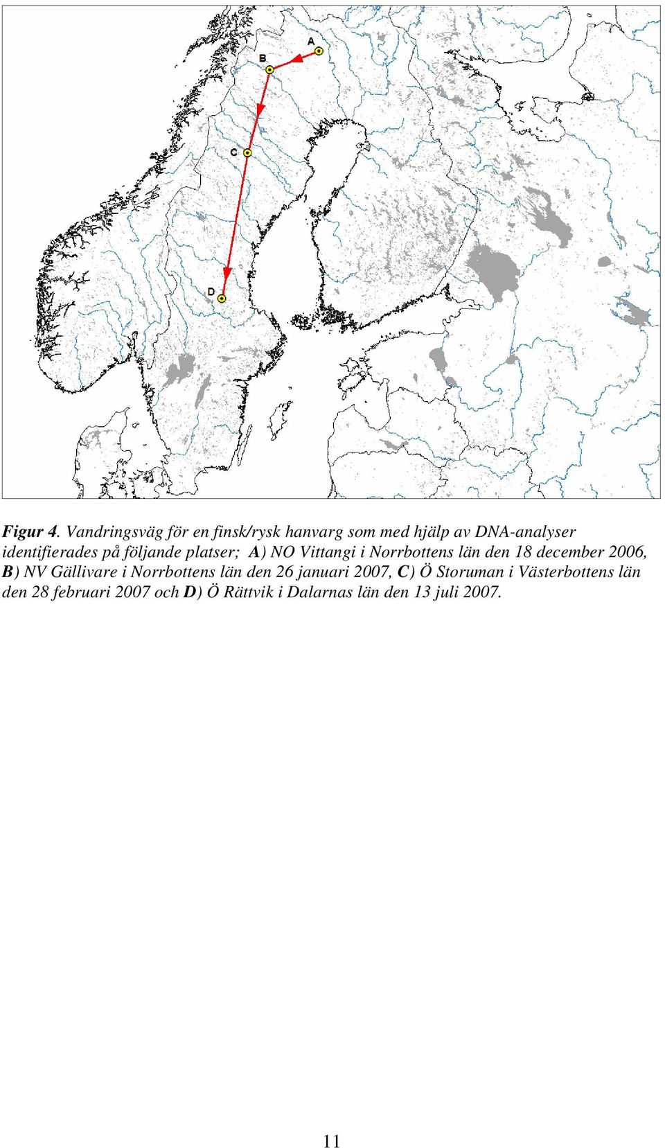 identifierades på följande platser; A) NO Vittangi i Norrbottens län den 18