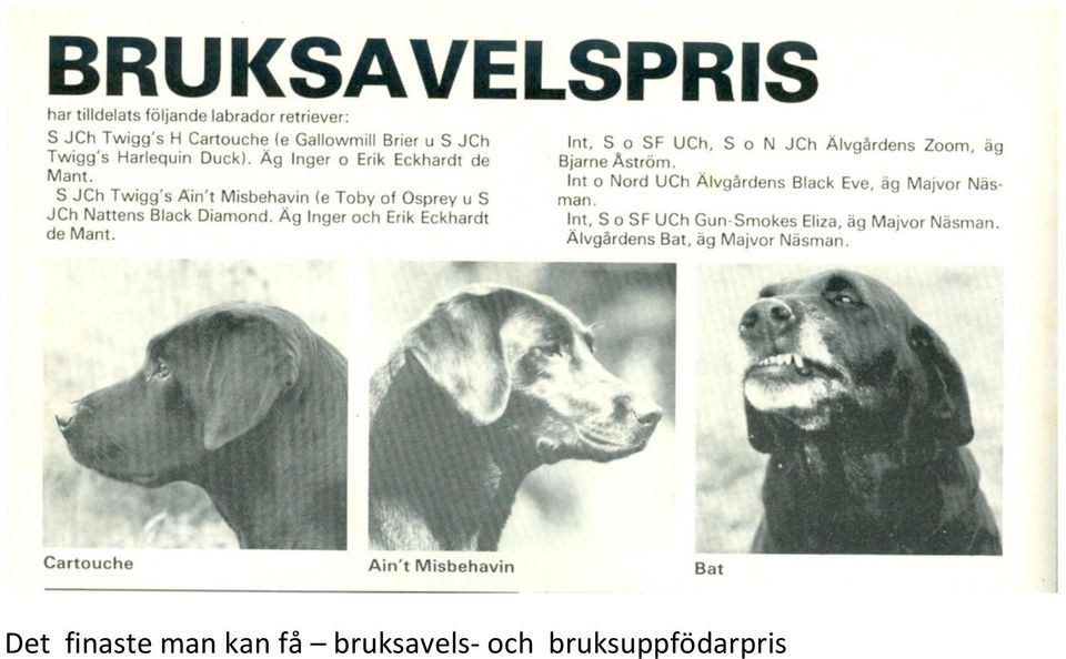 bruksavels-