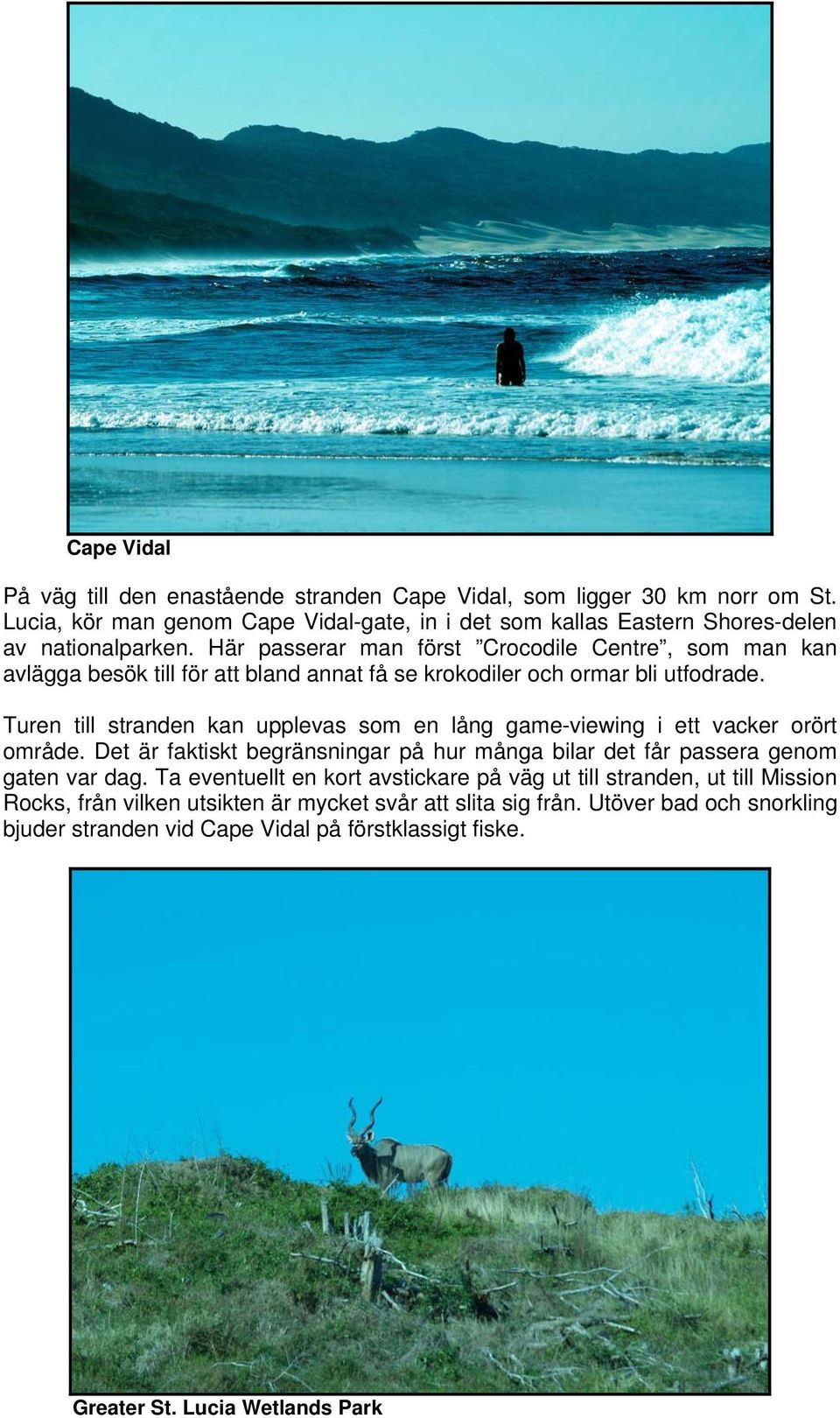 Turen till stranden kan upplevas som en lång game-viewing i ett vacker orört område. Det är faktiskt begränsningar på hur många bilar det får passera genom gaten var dag.