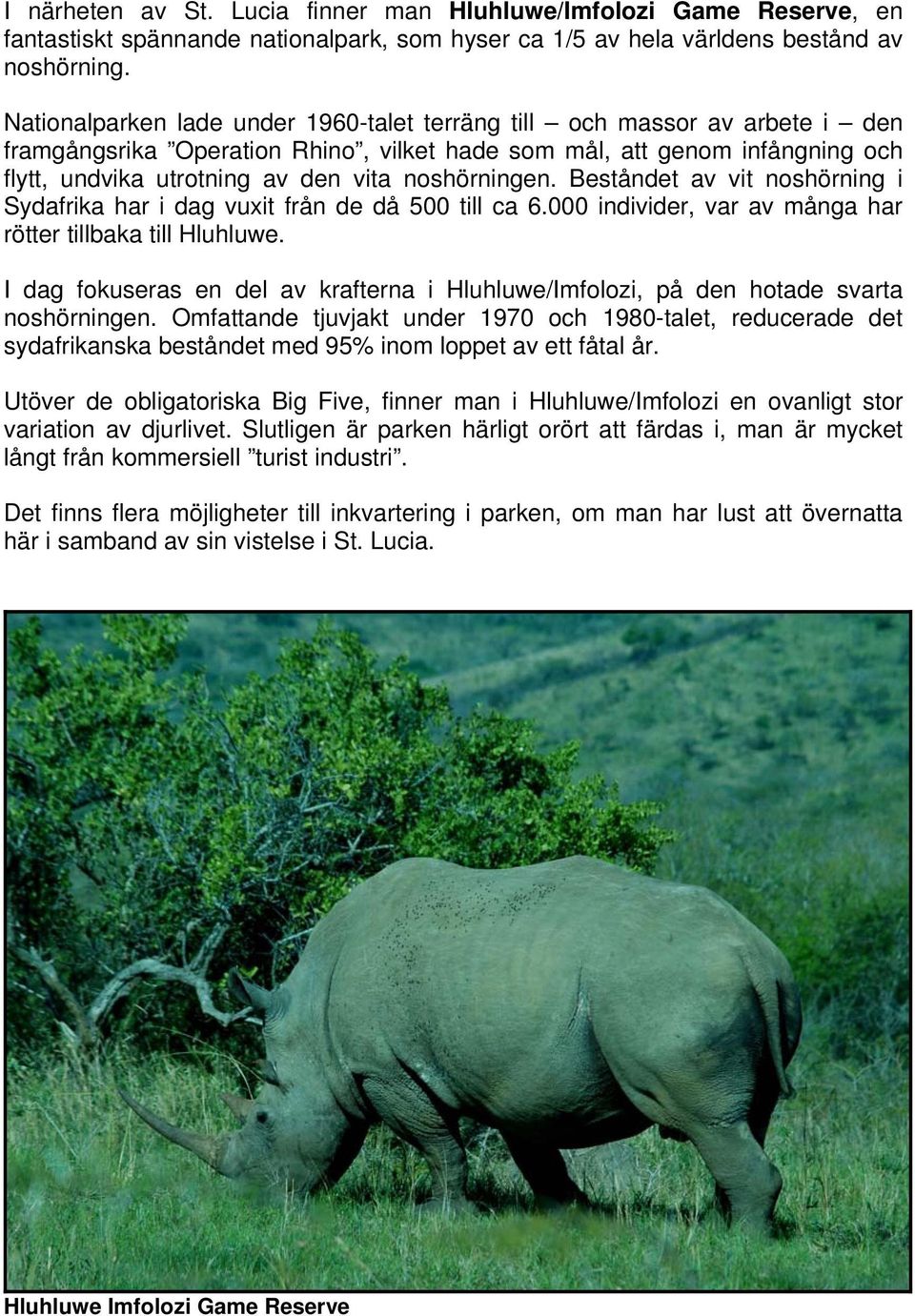 noshörningen. Beståndet av vit noshörning i Sydafrika har i dag vuxit från de då 500 till ca 6.000 individer, var av många har rötter tillbaka till Hluhluwe.