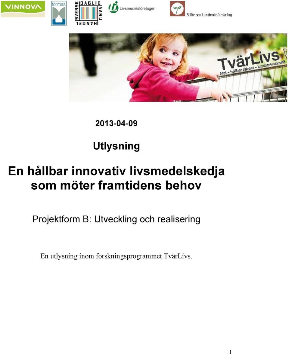 Projektform B: Utveckling och realisering En