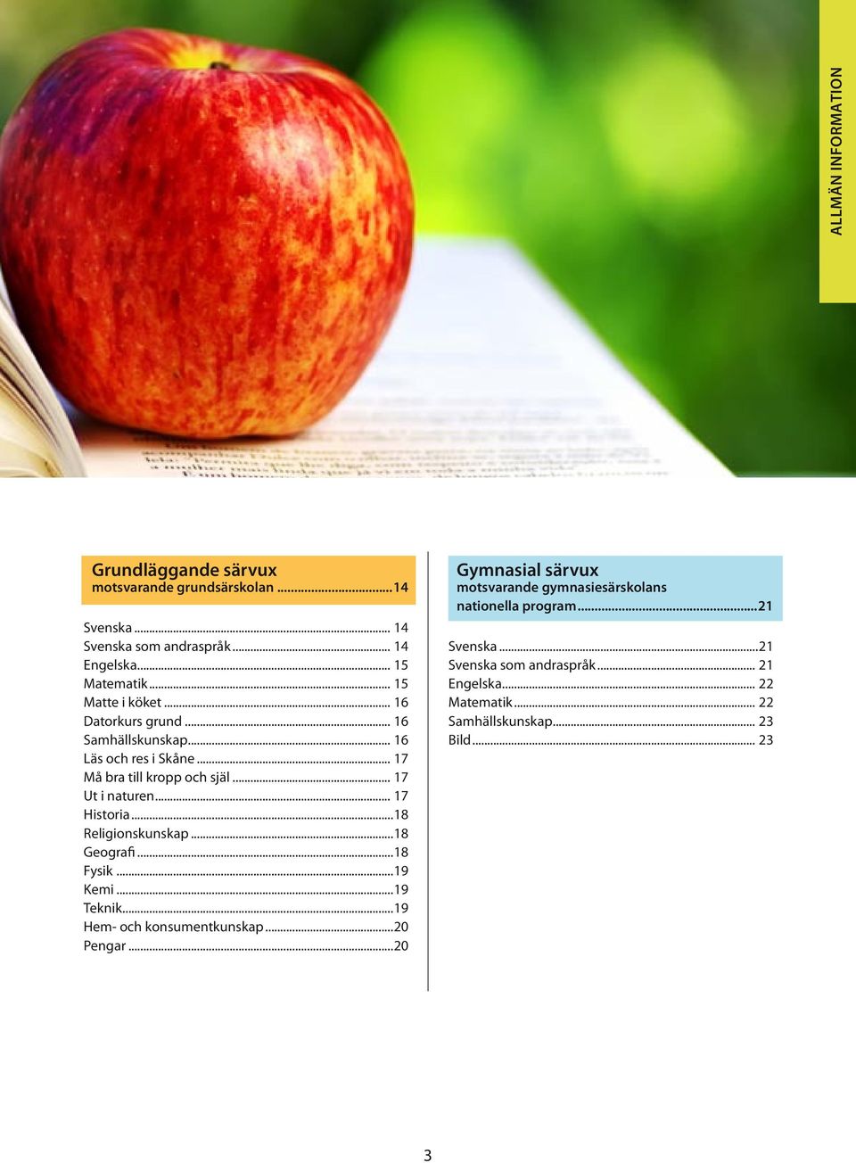 .. 17 Historia...18 Religionskunskap...18 Geografi...18 Fysik...19 Kemi...19 Teknik...19 Hem- och konsumentkunskap...20 Pengar.