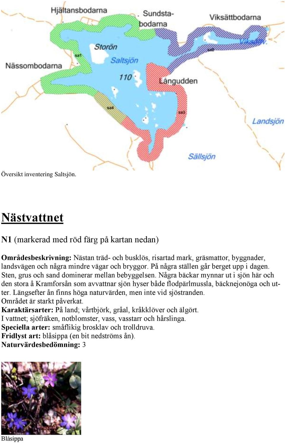 På några ställen går berget upp i dagen. Sten, grus och sand dominerar mellan bebyggelsen.