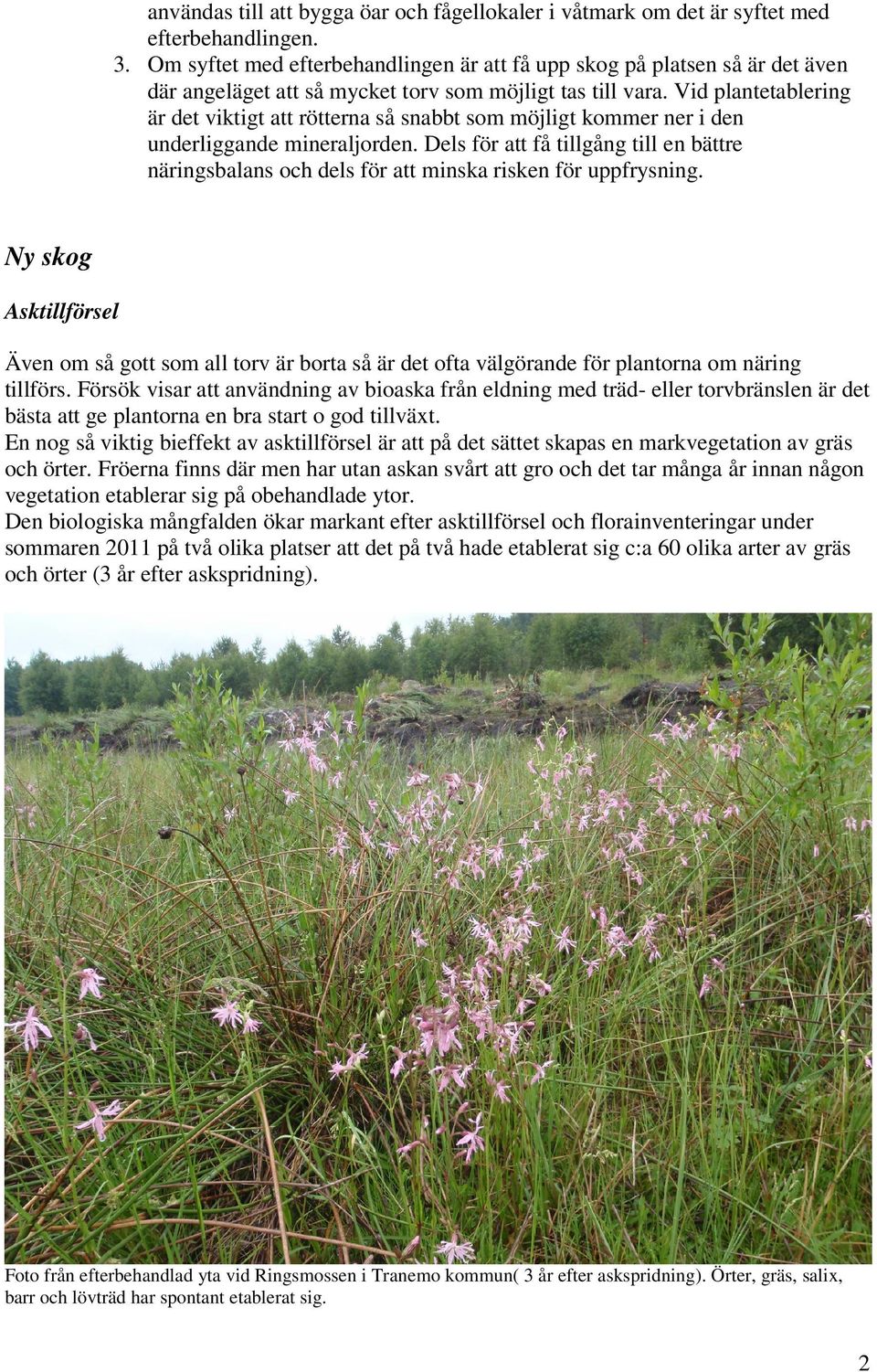Vid plantetablering är det viktigt att rötterna så snabbt som möjligt kommer ner i den underliggande mineraljorden.