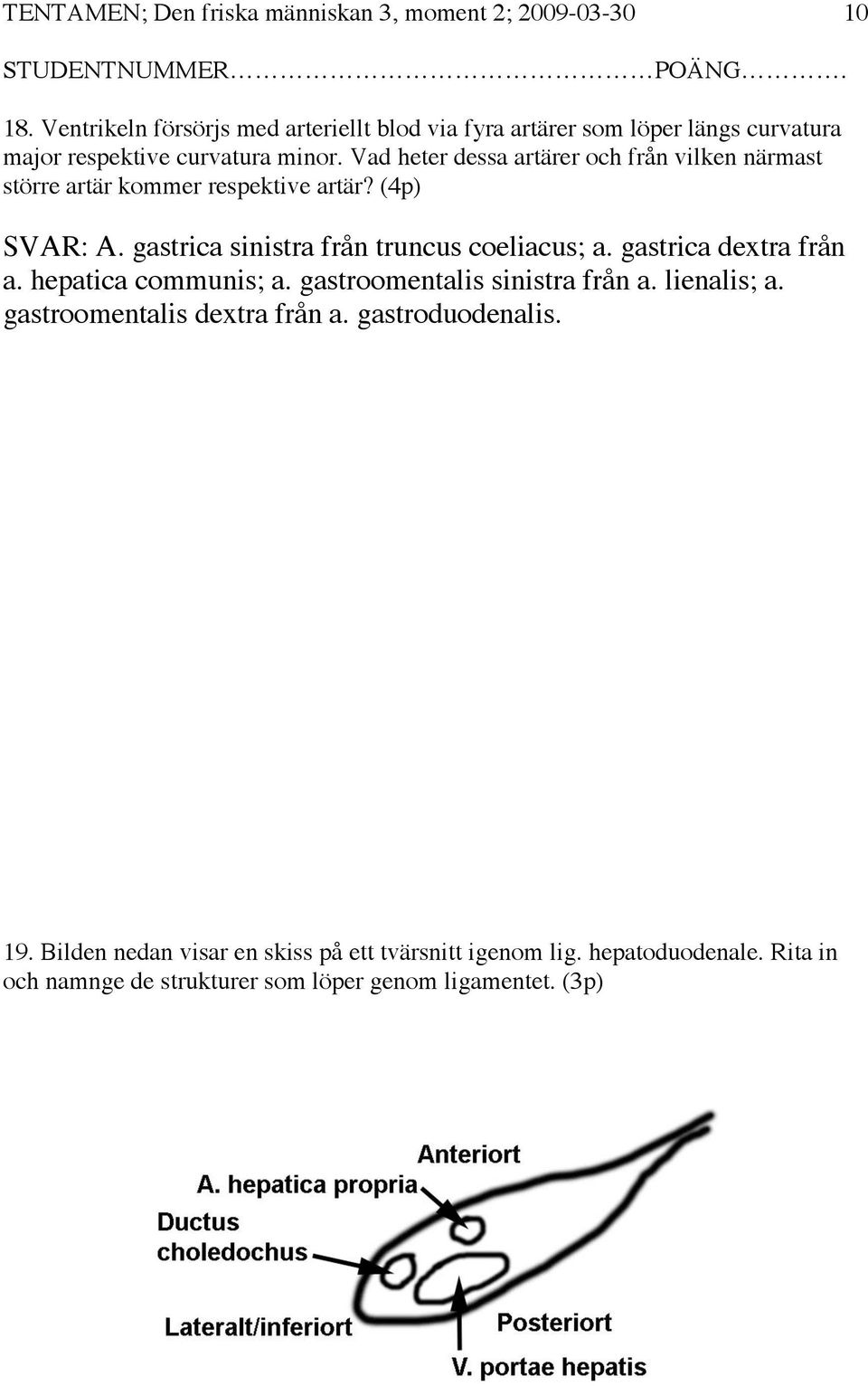 Vad heter dessa artärer och från vilken närmast större artär kommer respektive artär? (4p) SVAR: A. gastrica sinistra från truncus coeliacus; a.