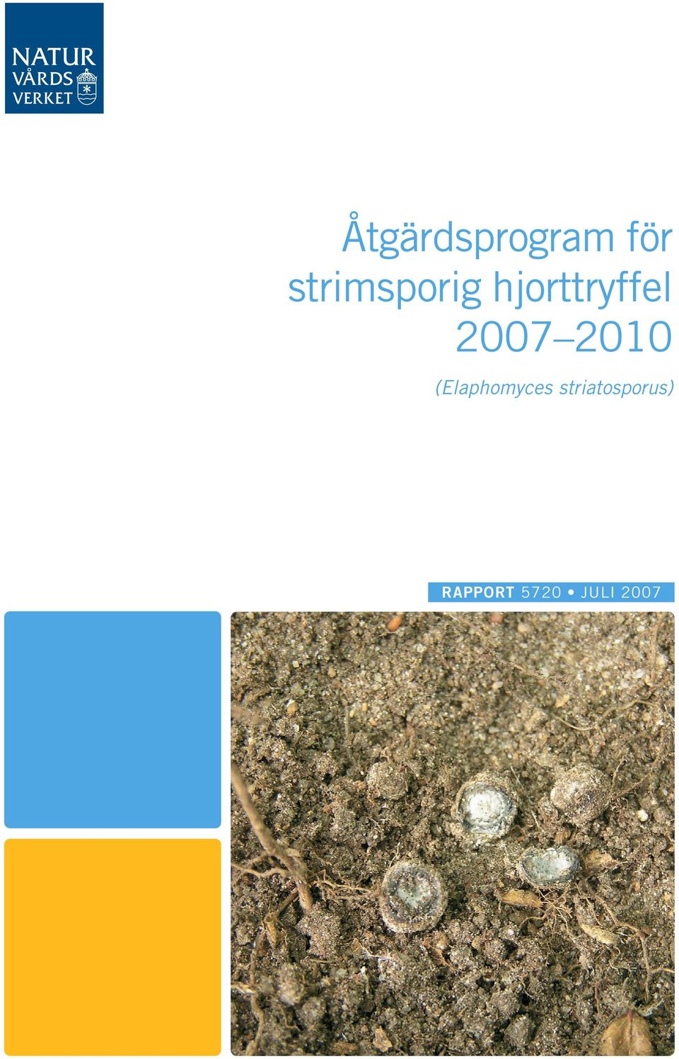 2007 2010 (Elaphomyces