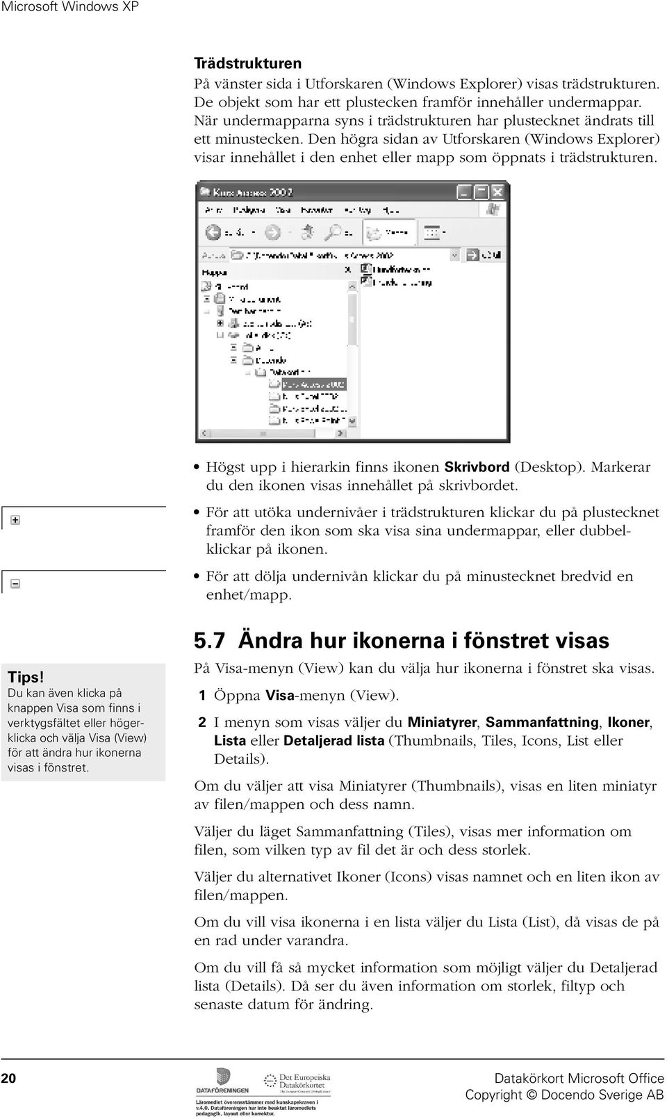 Den högra sidan av Utforskaren (Windows Explorer) visar innehållet i den enhet eller mapp som öppnats i trädstrukturen. Högst upp i hierarkin finns ikonen Skrivbord (Desktop).