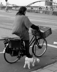 Hur anpassar oskyddade trafikanter hastigheten?: Susanne Gustafsson Trafikanter med olika hastighetsanspråk på gång- och cykelbanor samspelet fungerar inte konflikter, incidenter och olyckor uppstår.