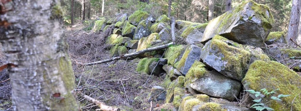 Hässleholm Granetorp 12:1, Hjortholmen 1:17 Försäljningsförutsättningar Förfarande Fastigheten säljs i sin helhet eller i delar via skriftlig intresseanmälan som ska vara mäklaren tillhanda senast