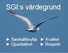 Organisation 2015-12-31 SGI leds av Generaldirektören.