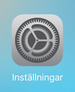 Gå till Inställningar på din ipad, genom att klicka på den här ikonen på