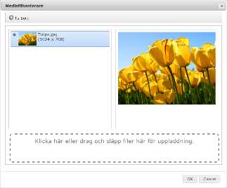 2. Bilder I flera mallar skall man ladda upp bilder. Detta gör du under Innehåll. Leta upp Bild: under Innehåll och klicka på Bläddra efter bildfil. I Mediafilhanteraren finns ett streckat område.