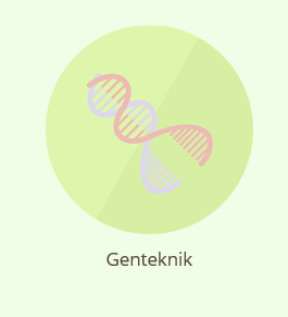 Rollspel: Debatt och sen diskussion om genteknik!
