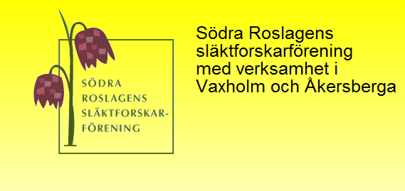 Det viktiga är att du måste ha varit på den aktuella sidan precis innan du väljer att ta din skärmbild. Ex. Se till att du står i det program eller på den bild som du vill hämta information från.