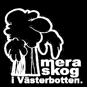 Verksamhetsplan Mera