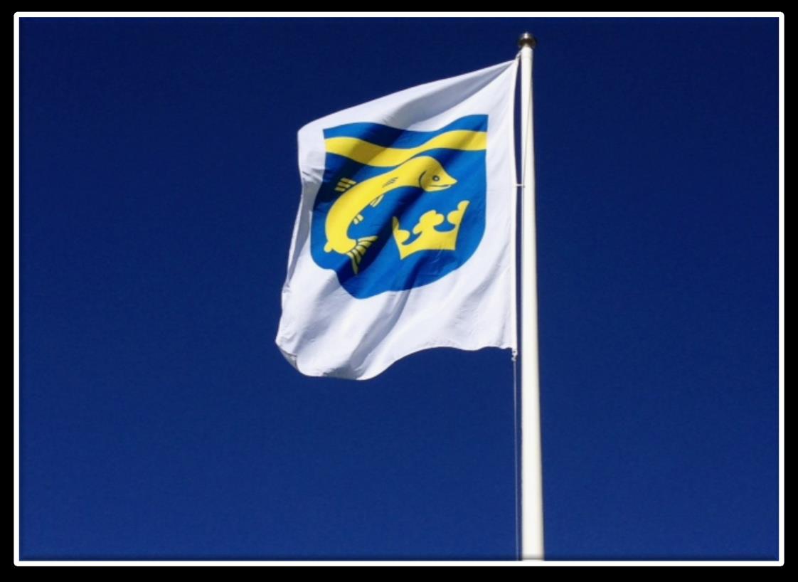 Budget 2017, plan 2018-2019 Gullspångs