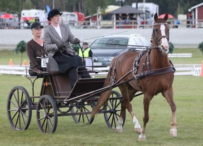 3-5 augusti gick SM i körning vid Vaggeryds travbana strax söder om Jönköping. WKS fanns plats både bland tävlande och i publiken.