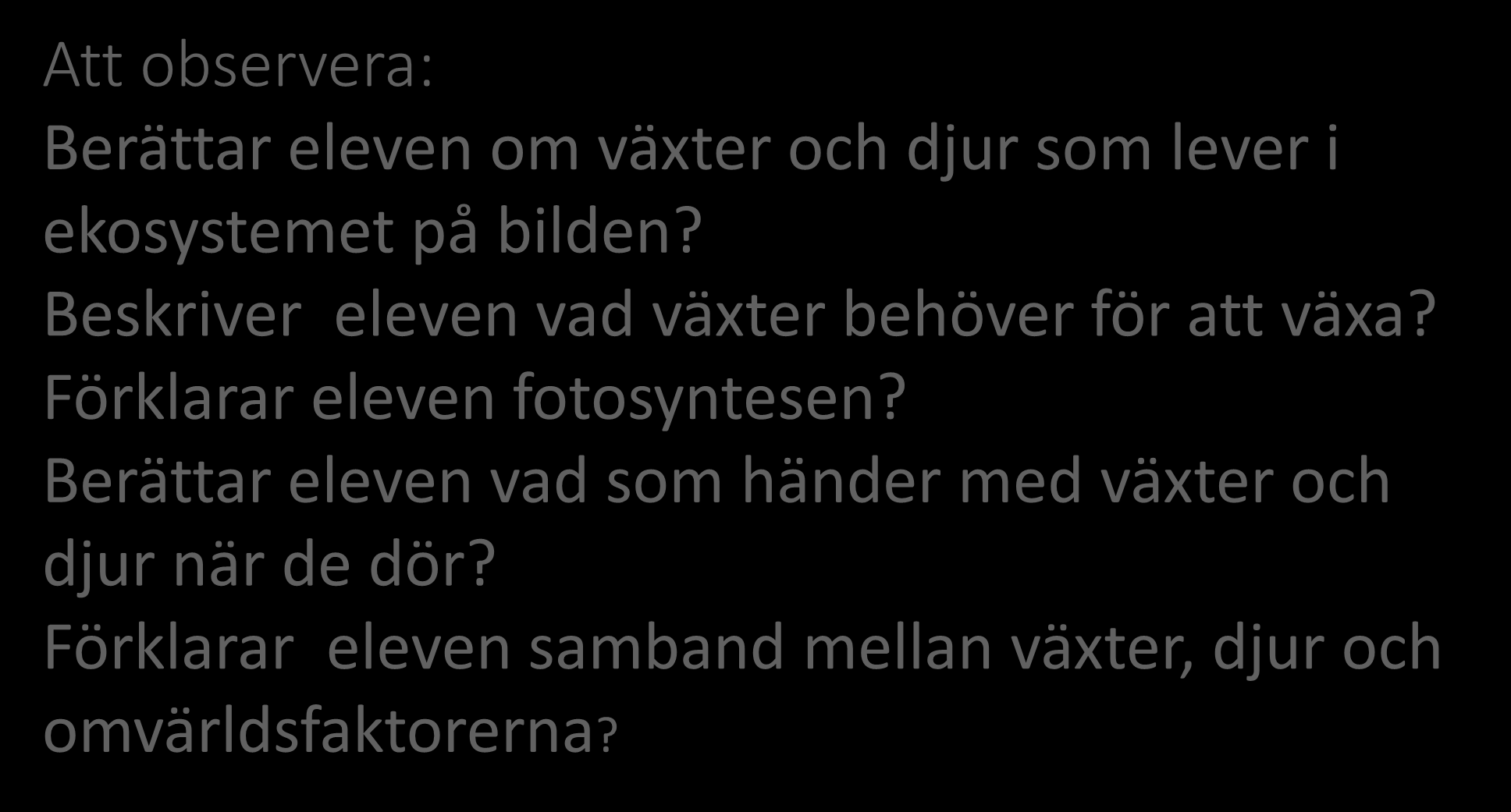 Uppgift 1 Grundläggande kunskaper om ekosystem Att observera: Berättar eleven om växter och djur som lever i ekosystemet på bilden?