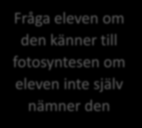 Berätta om växter och djur som lever här. Vad behöver växter för att växa? Vad äter djuren som lever här? Vad händer med växterna och djuren när de dör?