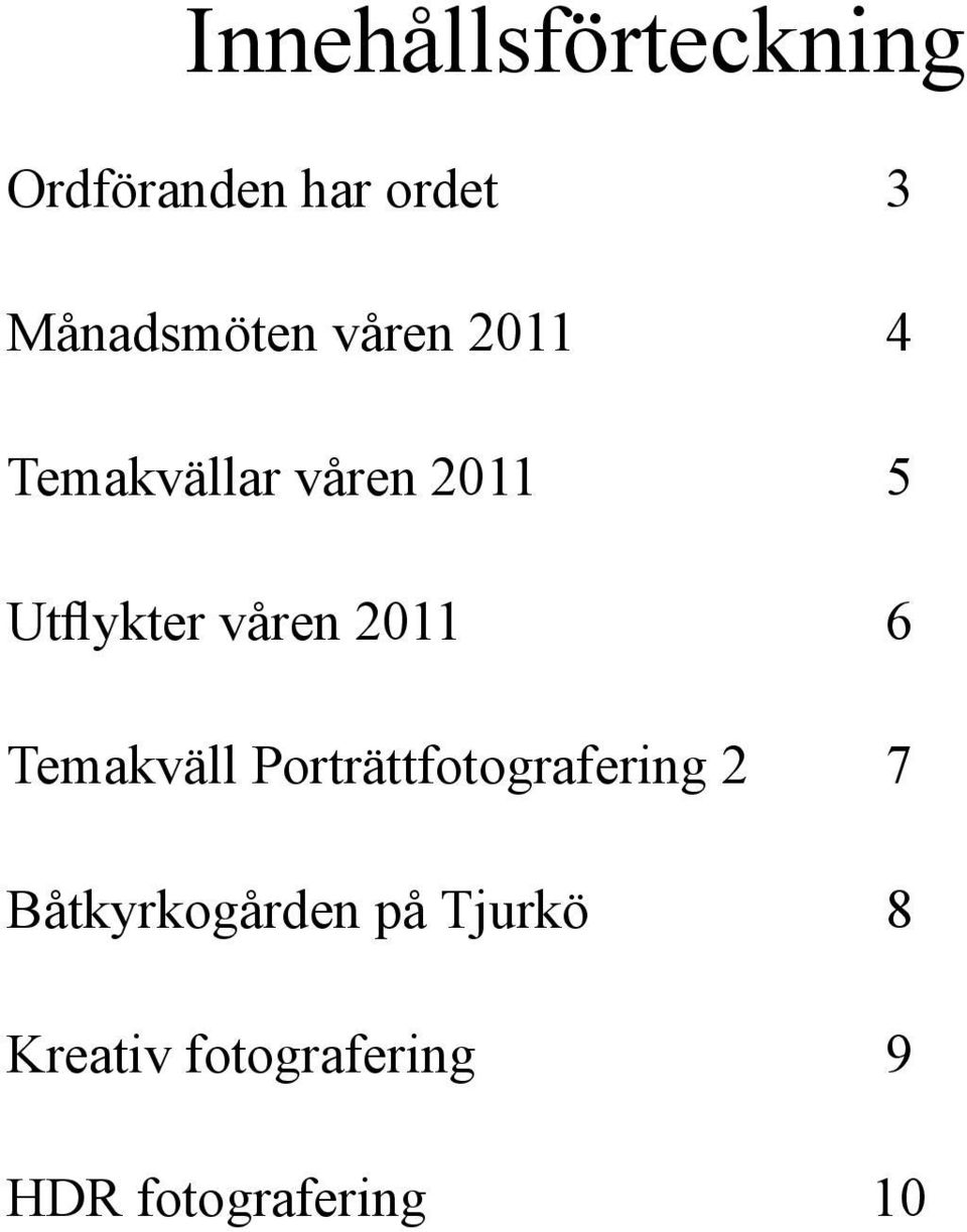 2011 6 Temakväll Porträttfotografering 2 7