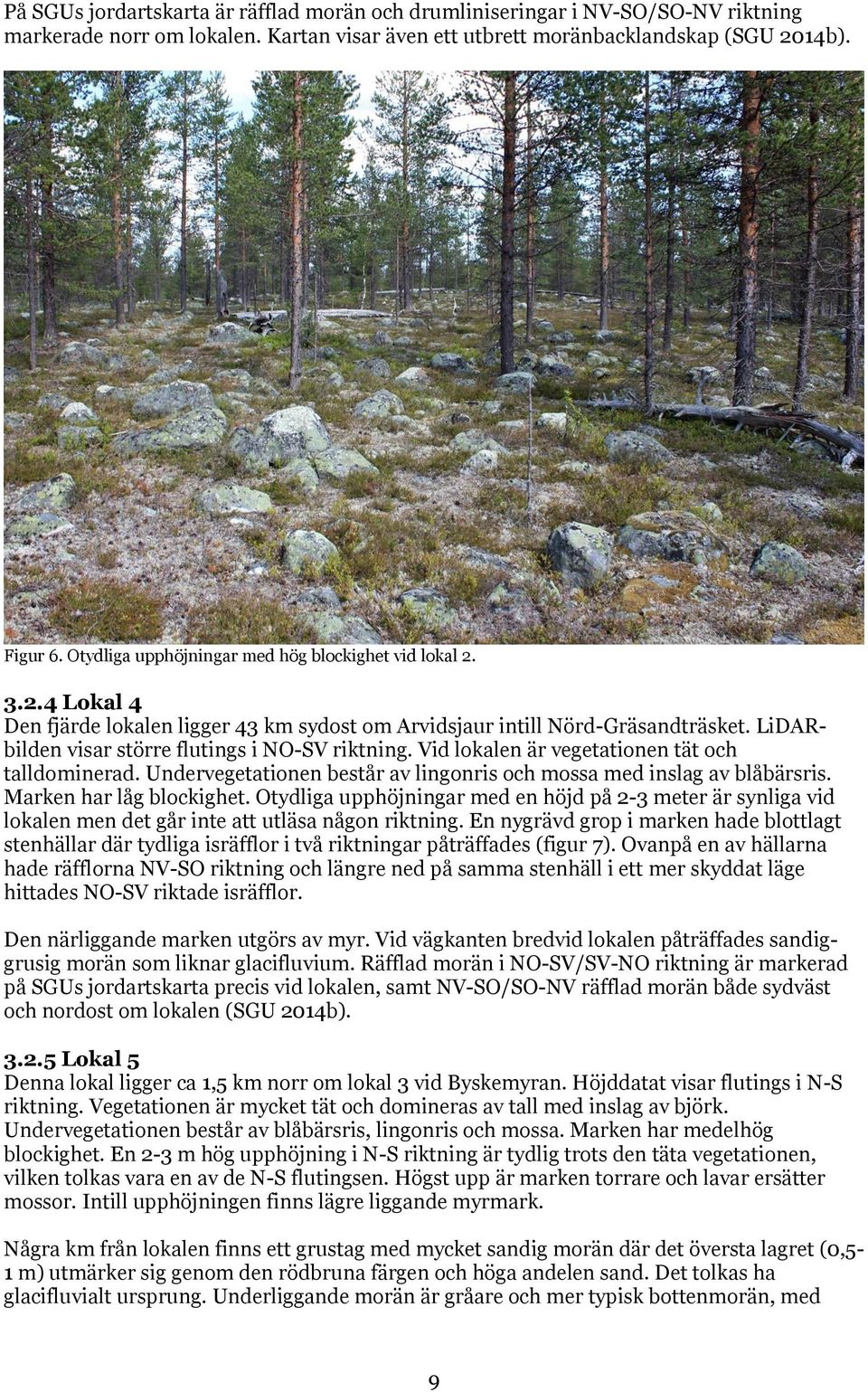 Vid lokalen är vegetationen tät och talldominerad. Undervegetationen består av lingonris och mossa med inslag av blåbärsris. Marken har låg blockighet.