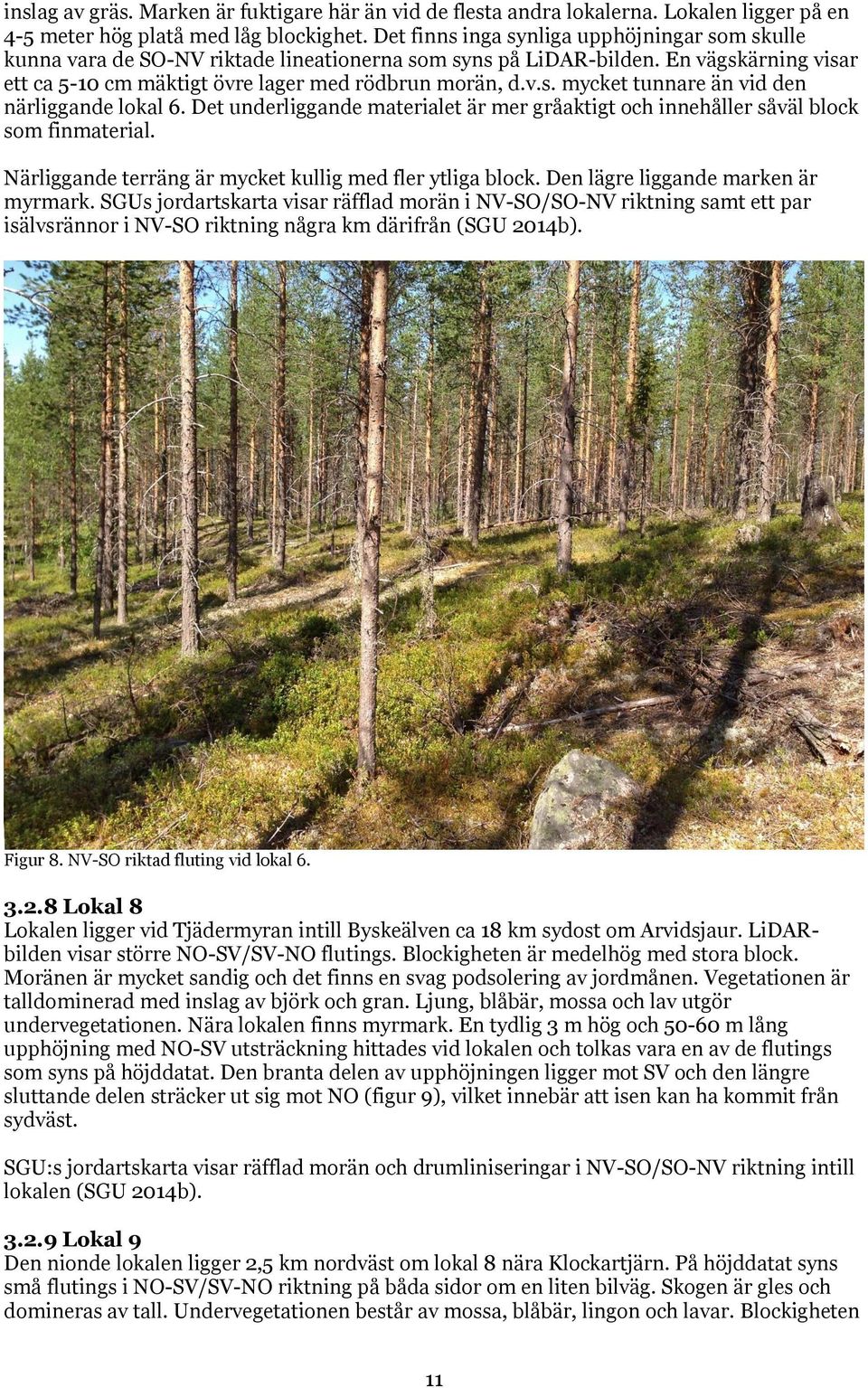 Det underliggande materialet är mer gråaktigt och innehåller såväl block som finmaterial. Närliggande terräng är mycket kullig med fler ytliga block. Den lägre liggande marken är myrmark.