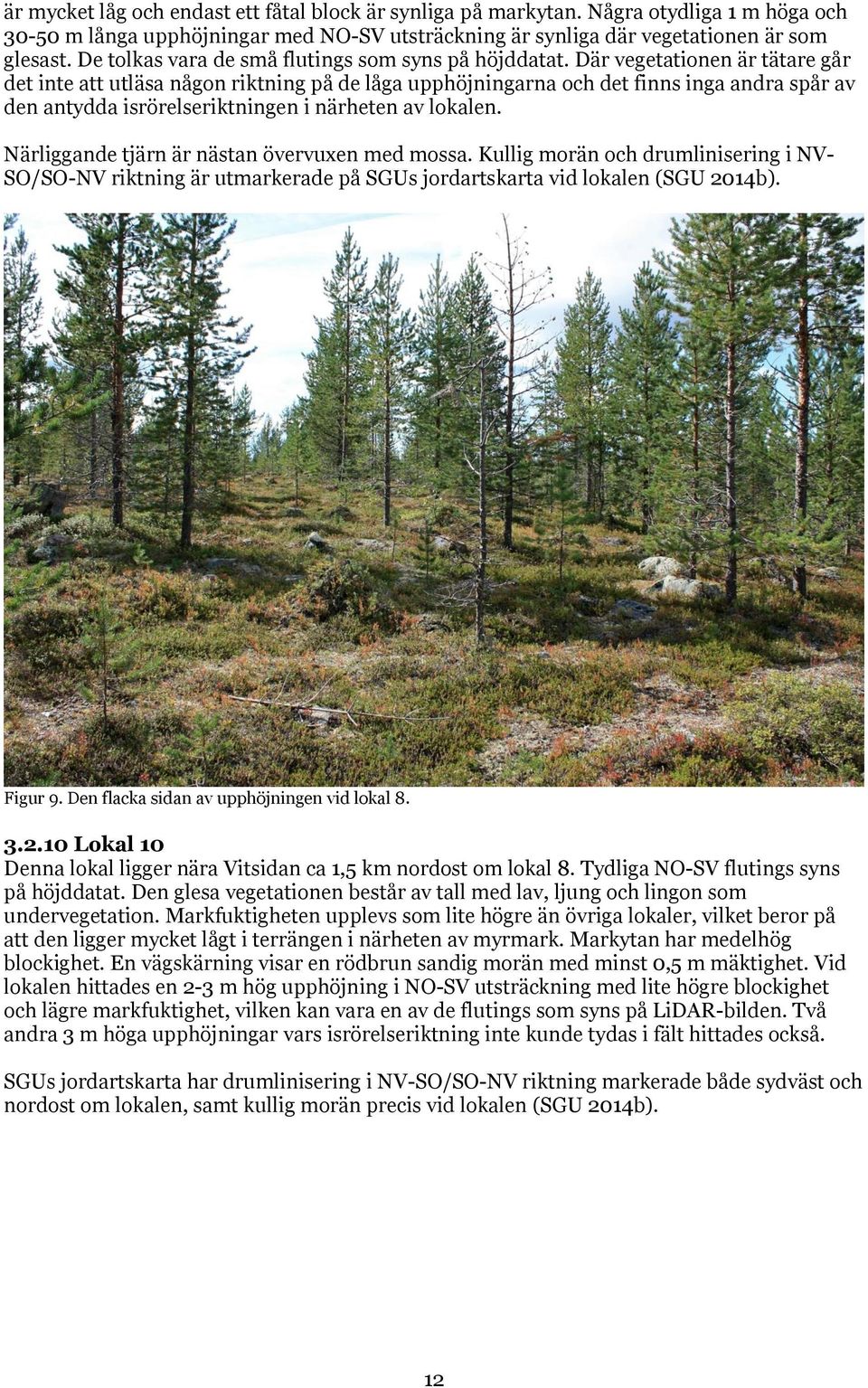 Där vegetationen är tätare går det inte att utläsa någon riktning på de låga upphöjningarna och det finns inga andra spår av den antydda isrörelseriktningen i närheten av lokalen.