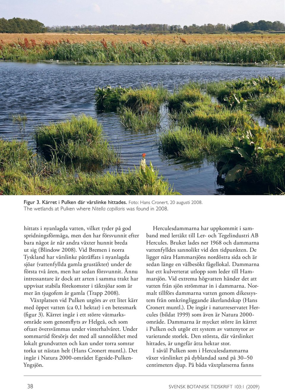 Vid Bremen i norra Tyskland har vårslinke påträffats i nyanlagda sjöar (vattenfyllda gamla grustäkter) under de första två åren, men har sedan försvunnit.
