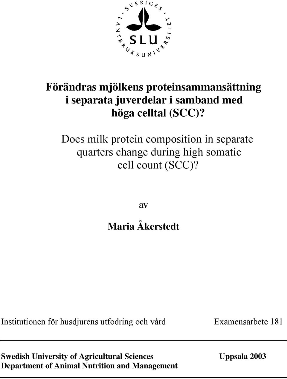 Does milk protein composition in separate quarters change during high somatic cell count  av