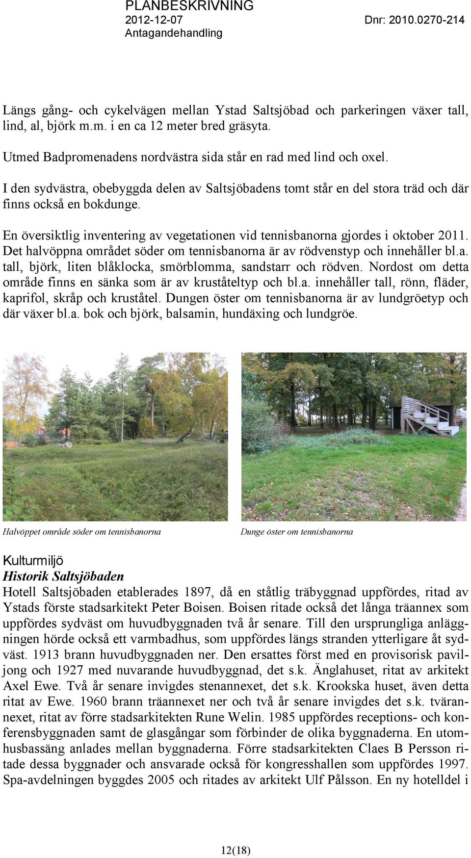 Det halvöppna området söder om tennisbanorna är av rödvenstyp och innehåller bl.a. tall, björk, liten blåklocka, smörblomma, sandstarr och rödven.